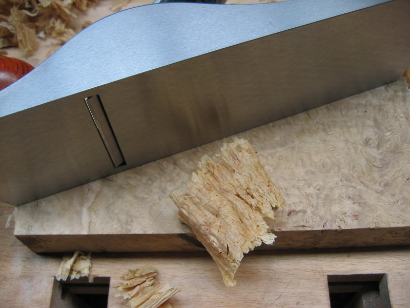 Clifton vs. Oak burr